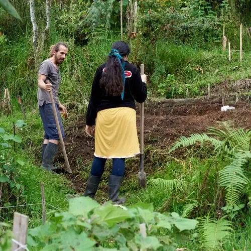 inmersiones_8_madre_kumbra_centro_yoga_manizales