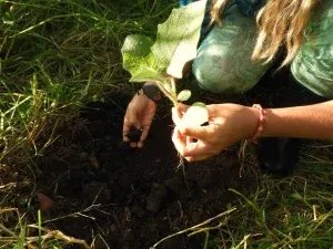 permacultura_madre_kumbra_centro_yoga_manizales8