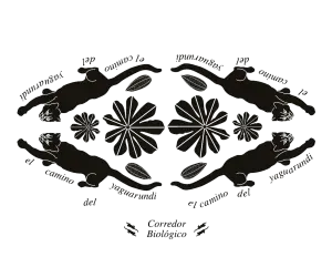 yaguarundi png